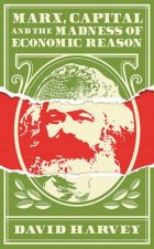 Marx Capital And The Madness Of Economic Reason