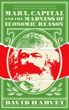 Marx Capital And The Madness Of Economic Reason