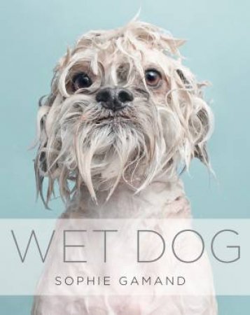 Wet Dog by Sophie Gamand