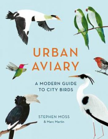Urban Aviary by Stephen Moss