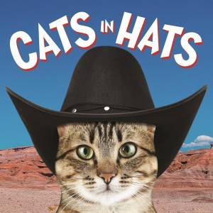 Cats In Hats by Various