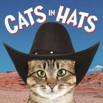 Cats In Hats