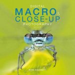 Digital Macro And CloseUp Photography