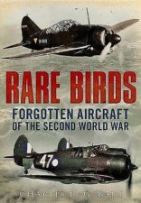 Rare Birds Forgotten Aircraft Of The Second World War