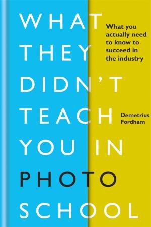What They Didn't Teach You In Photo School by Demetrius Fordham