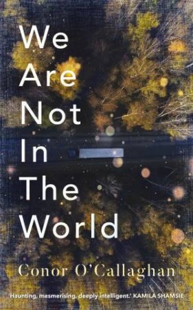 We Are Not In The World by Conor O'Callaghan