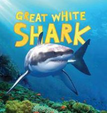 Discover Sharks Great White Shark