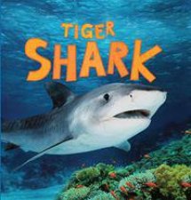 Discover Sharks Tiger Shark