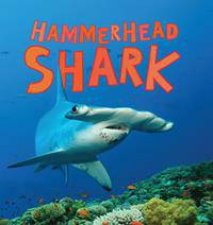 Discover Sharks Hammerhead Shark
