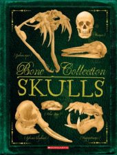 Skulls Bone Collection