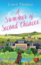 A Summer of Second Chances