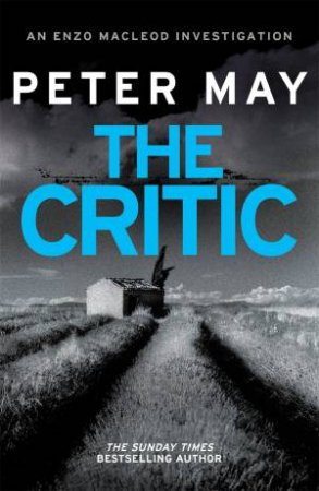 The Critic by Peter May