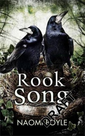 Rook Song by Naomi Foyle