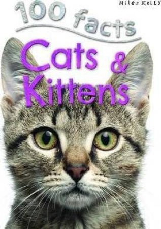 Miles Kelly 100 Facts: Cats & Kittens by Belinda Gallagher