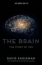 The Brain