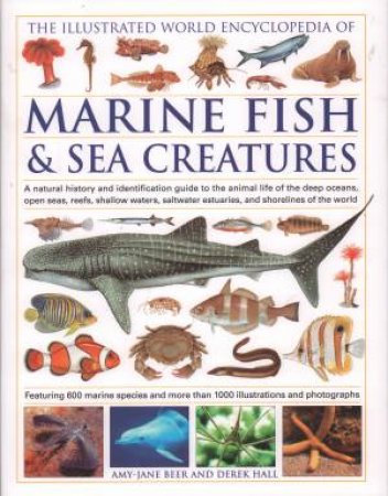 The Illustrated World Encyclopedia Of Marine Fish & Sea Creatures by Amy-Jane Beer & Derek Hall