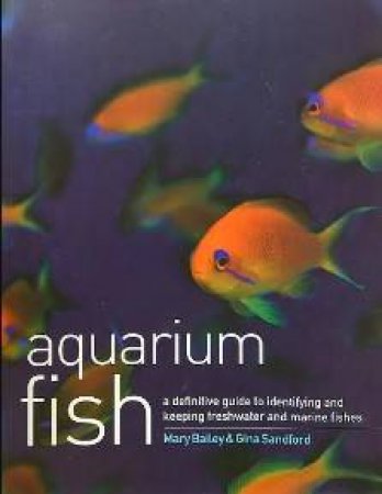 Aquarium Fish by Various