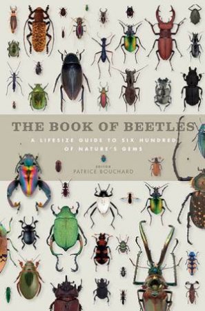 The Book Of Beetles by Patrice Bouchard & Yves Bousquet
