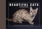 Beautiful Cats Postcard Book