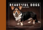 Beautiful Dogs Postcard Book