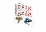 Box Of Frogs 100 Postcards Of The Most Striking Species