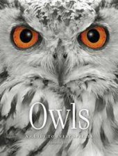 Owls A Guide To Every Species