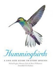 Hummingbirds A Life Size Guide To Every Species