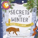 Secrets of Winter A ShineALight Book