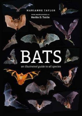 Bats by Marianne Taylor
