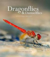 Dragonflies  Damselfies