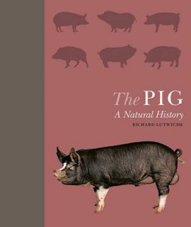 The Pig by Richard Lutwyche