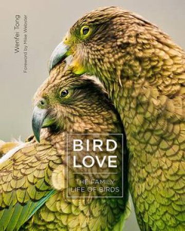 Bird Love by Wenfei Tong & Mike Webster
