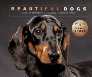Beautiful Dogs by Carolyn Menteith & Andrew Perris