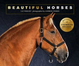 Beautiful Horses by Liz Wright