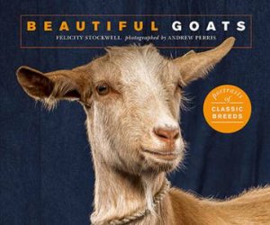 Beautiful Goats by Felicity Stockwell