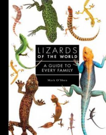 Lizards Of The World by Mark O'Shea