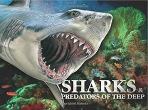 Sharks & Predators Of The Deep by Susan Barraclough
