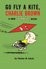 Go Fly a Kite Charlie Brown