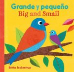 Big And Small  Grande Y Pequeno English And Spanish Edition