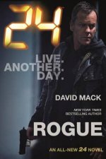 24 Rogue