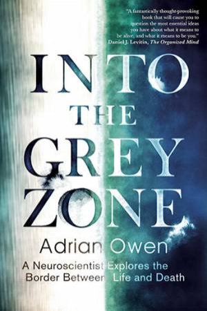 Into The Grey Zone by Adrian Owen