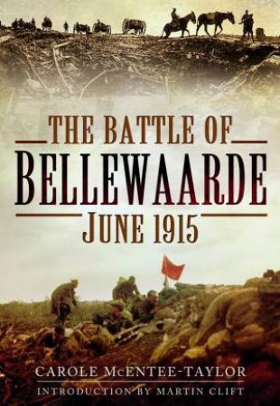 Battle of Bellewaarde, June 1915 by MCENTEE-TAYLOR CAROLE