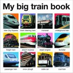 My Big Train Book