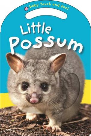 Baby Touch And Feel Little Possum by Roger Priddy
