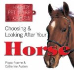 Choosing and Looking After Your Horse