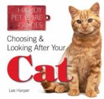 Choosing and Looking After Your Cat