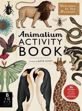 Animalium Activity Book by Katie Scott