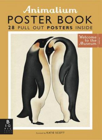 Animalium Poster Book by Katie Scott & Jenny Broom