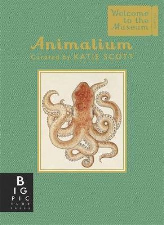 Animalium (Mini Gift Edition) by Katie Scott & Jenny Broom