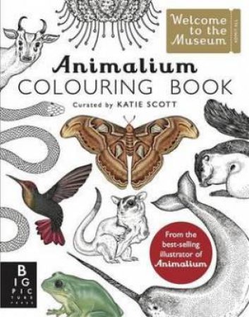 Animalium Colouring Book by Katie Scott